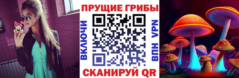 Псилоцибиновые грибы Psilocybe  как найти закладки  mega ТОР  Красный Кут 